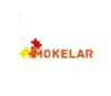Lowongan Kerja Content Creator di Mokelar & Toko Mobil