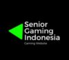 Lowongan Kerja Perusahaan PT. Senior Gaming Indonesia