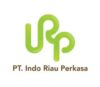 Lowongan Kerja Bussiness Development di PT. Indo Riau Perkasa