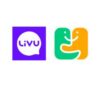 Lowongan Kerja Host Live App di Livu (Yaar)