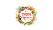 Lowongan Kerja Accountant di PT. Kampung Agrinex Farm - Jakarta
