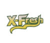 Lowongan Kerja Perusahaan Rumah Industri Cairan Pencuci Piring X-Fresh