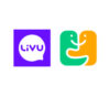 Lowongan Kerja Perusahaan Aplikasi Livu (YAAR)