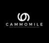 Lowongan Kerja Digital Marketing di Cammomile