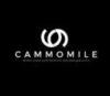 Lowongan Kerja Host Live Streaming di Cammomile