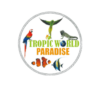 Lowongan Kerja IT Project Manager – Video Editor – Admin Sales di PT. Tropic World Paradise