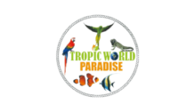 Lowongan Kerja IT Project Manager – Video Editor – Admin Sales di PT. Tropic World Paradise - Jakarta