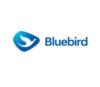 Lowongan Kerja Perusahaan Bluebird Pool Sutoyo
