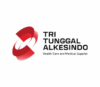 Lowongan Kerja Accounting di PT. Tri Tunggal Alkesindo