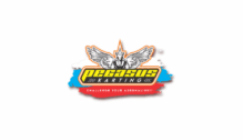 Lowongan Kerja Digital Marketing Supervisor di PT. Pegasus Karting - Jakarta