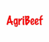 Lowongan Kerja Accounting di PT. Agri Beef Indonesia