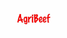 Lowongan Kerja Accounting di PT. Agri Beef Indonesia - Jakarta